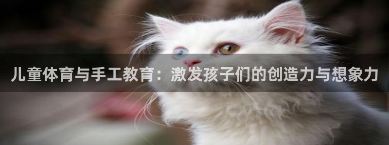 企鹅体育有电视版么：儿童体育与手工教育：激发孩子们的创造力与想象力