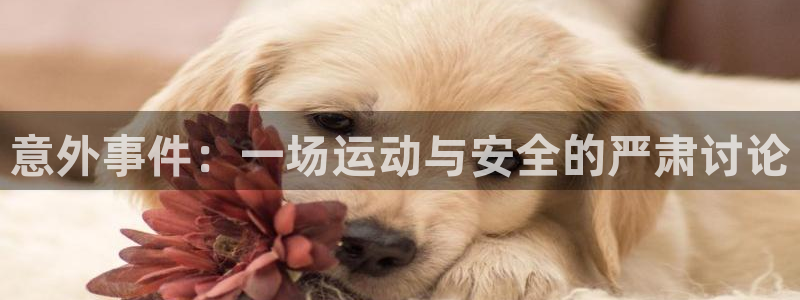 企鹅体育nba直播网：意外事件：一场运动与安全的严肃讨论