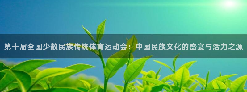 企鹅体育旧版本：第十届全国少数民族传统体育运动会：中国民族文化的盛宴与活力之源