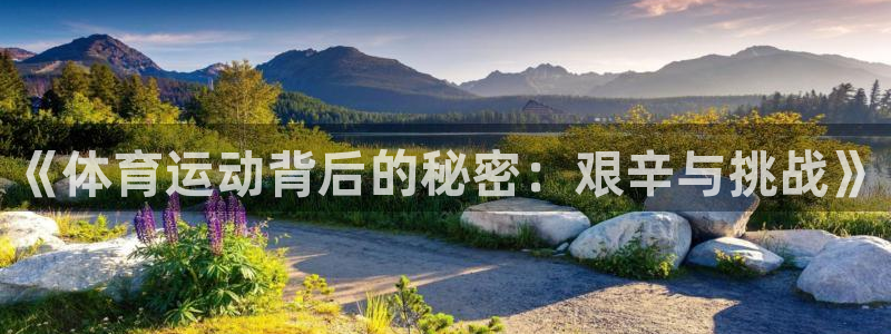 企鹅体育NBA露娜高清图片：《体育运动背后的秘密：艰辛与挑战》