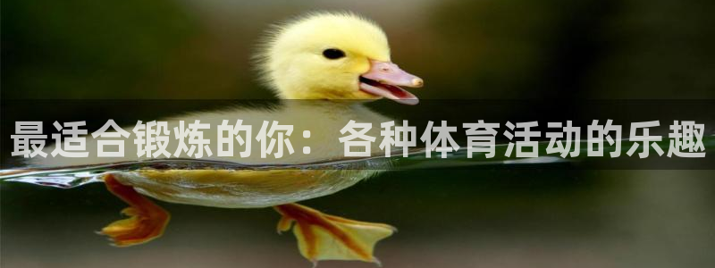 企鹅体育直播免费：最适合锻炼的你：各种体育活动的乐趣