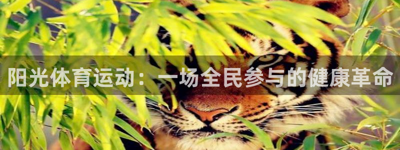 企鹅体育直播排球：阳光体育运动：一场全民参与的健康革命