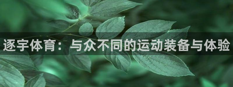 企鹅体育f1直播：逐宇体育：与众不同的运动装备与体验