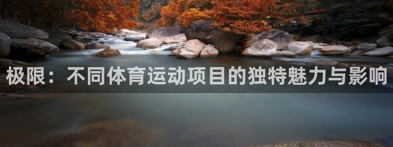 企鹅体育nba露娜：极限：不同体育运动项目的独特魅力与影响