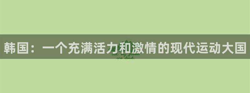 企鹅体育最新版本：韩国：一个充满活力和激情的现代运动大国