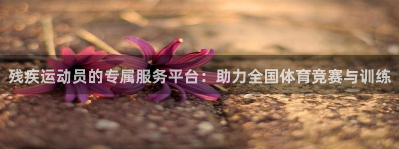 企鹅体育频道：残疾运动员的专属服务平台：助力全国体育竞赛与训练