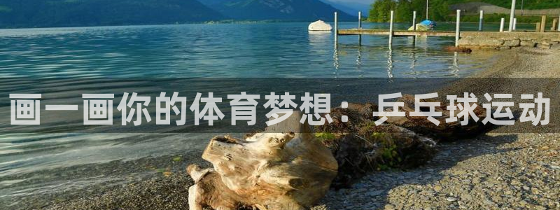 企鹅体育客服：画一画你的体育梦想：乒乓球运动